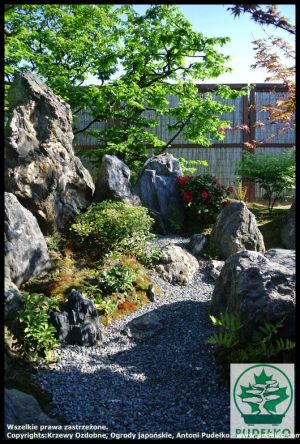 Ogrod-skalny-japonski-Pisarzowice-karesansui-2016-1 (Kopiowanie)