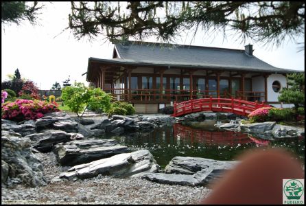 Czerwony-mostek-ogrod-japonski-Pisarzowice